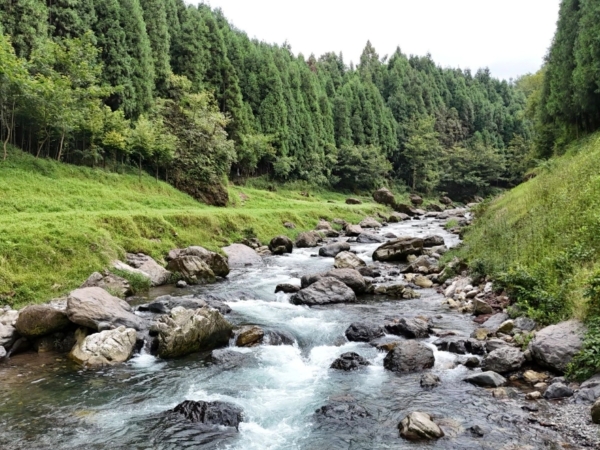 云上人家(洪雅瓦屋山镇复兴村店)餐厅图片
