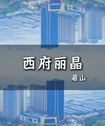 西府丽晶酒店(眉山东站店)图片