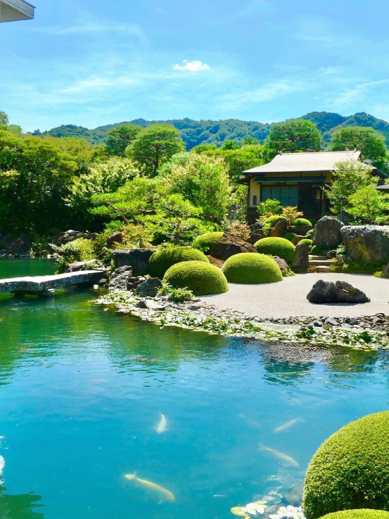 日本足立美庭园，把咱们的借景超☞喜的很极致！