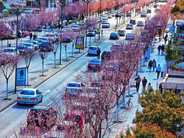 阿尔巴尼亚的春天