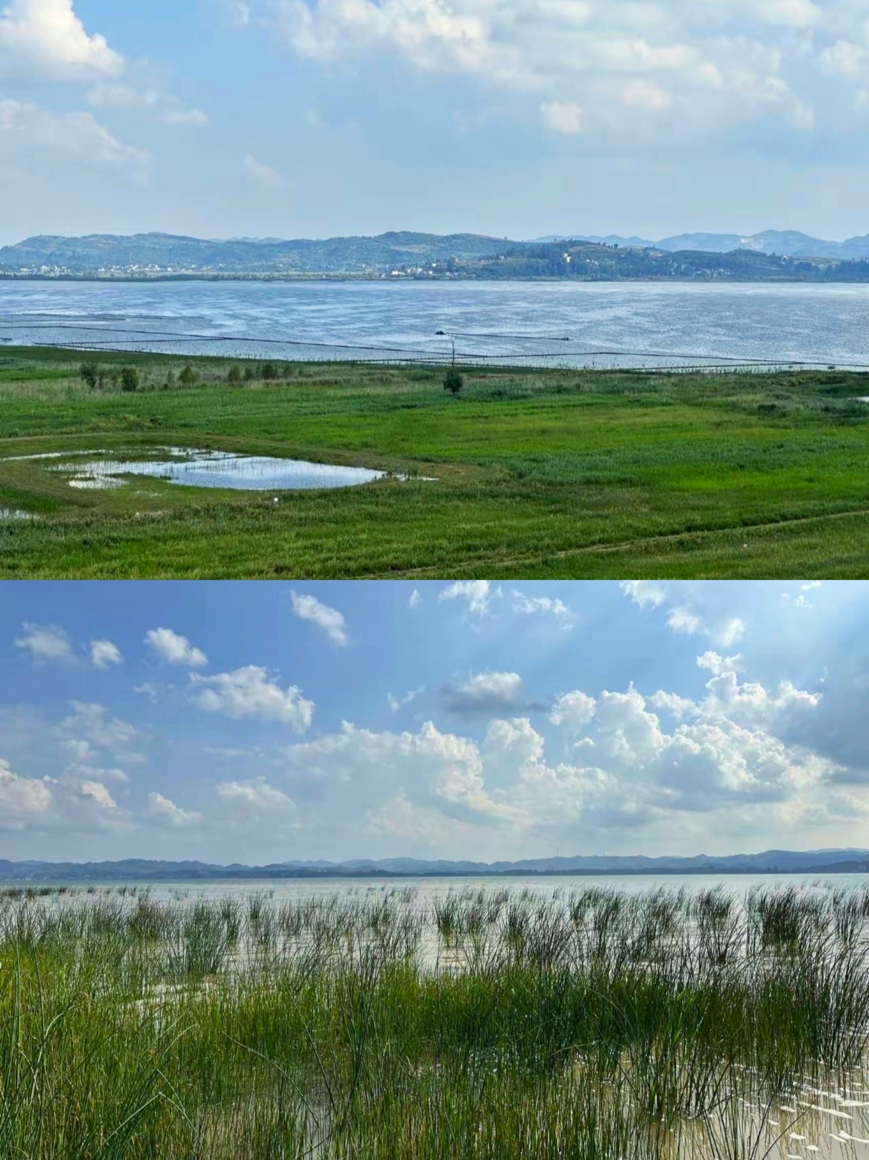 草海之行，恍若梦境！贵州的天然淡水湖泊，让人心醉神迷！