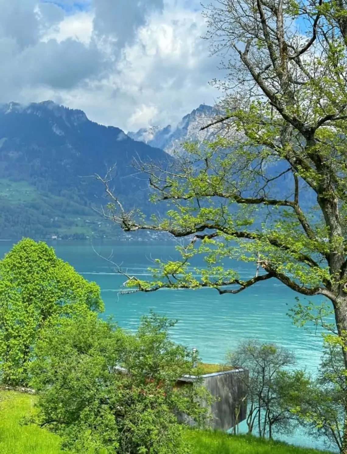 #3年后，出国第一站 知道瑞士很美，没想到会这么美，后悔没有早点来。虽然是阴天，但施皮茨和劳特布伦恩