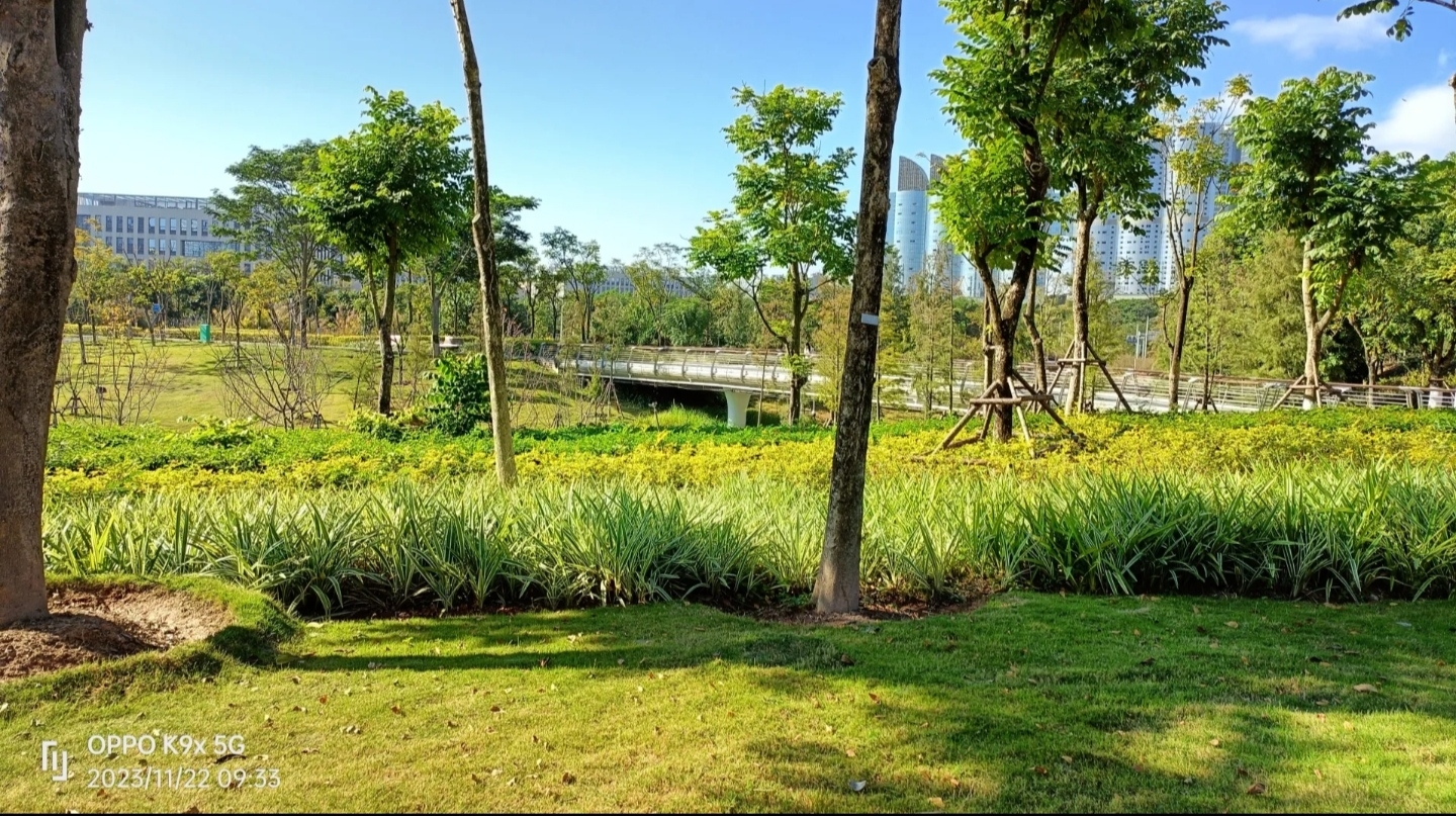 厦门 美峰生态公园