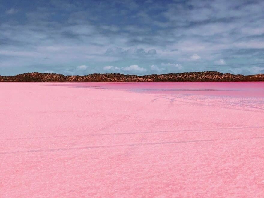 澳大利亚粉色湖泊