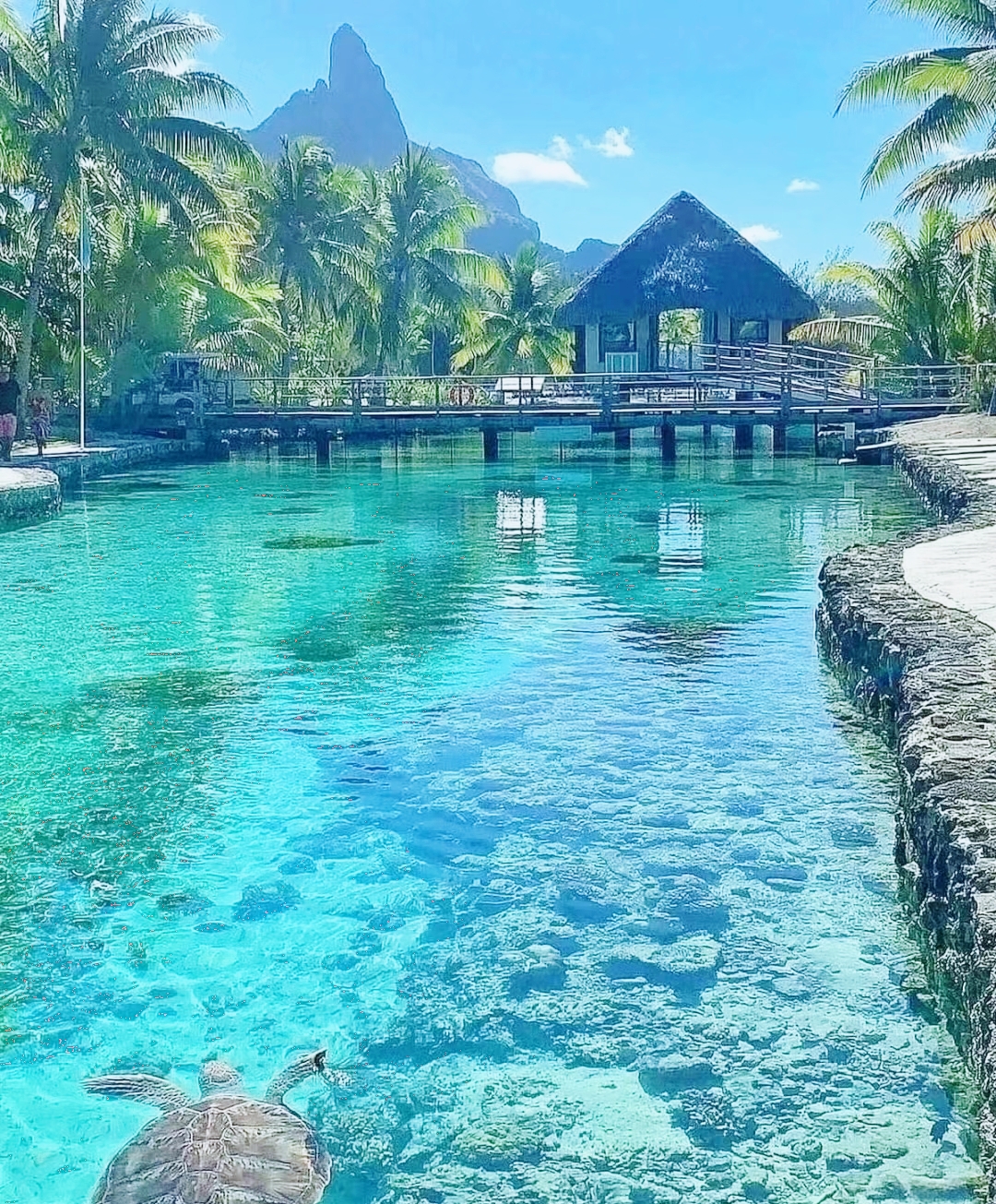 斐济7次旅行-度假精选