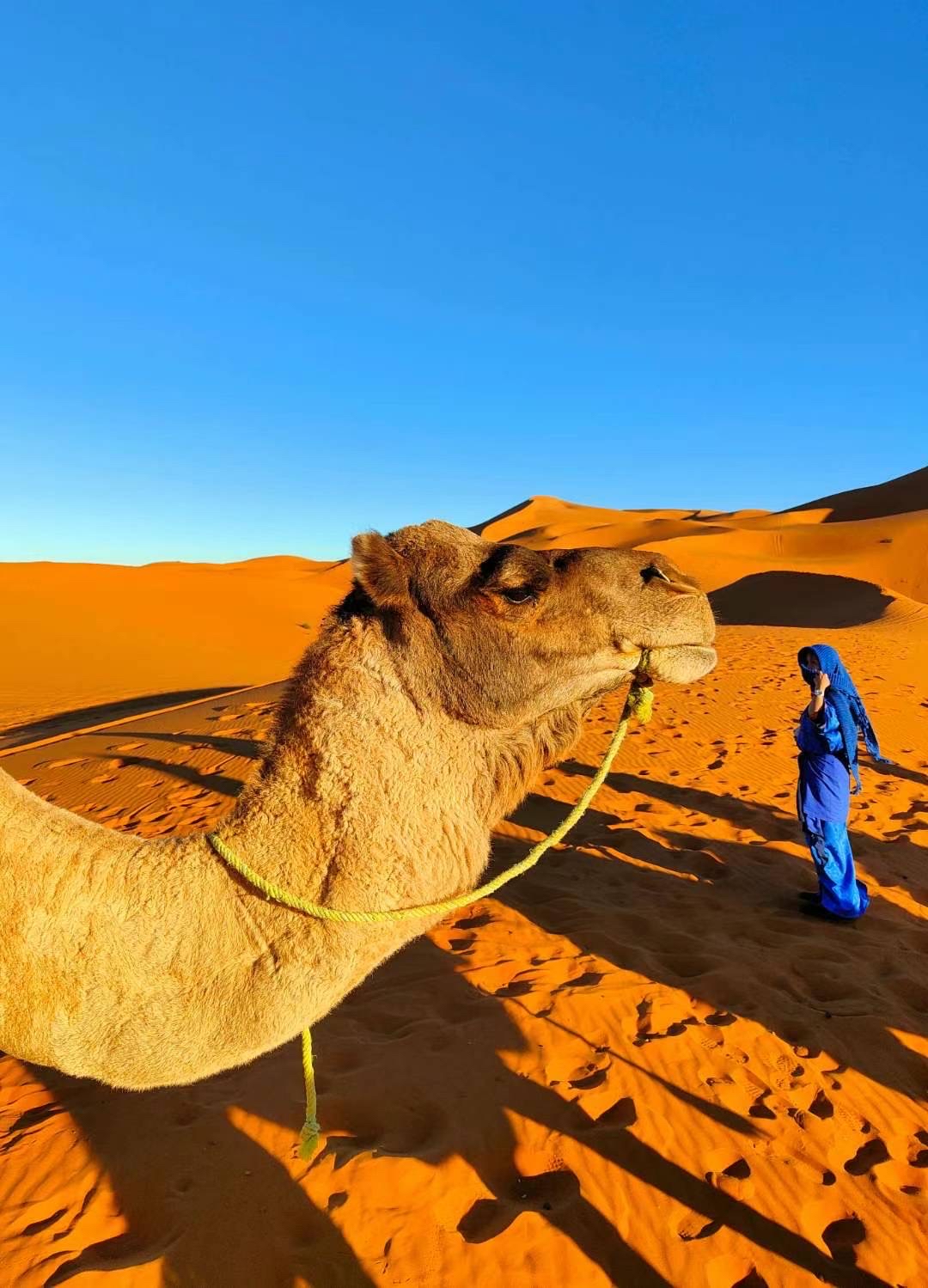 一半海水一半沙漠的摩洛哥
