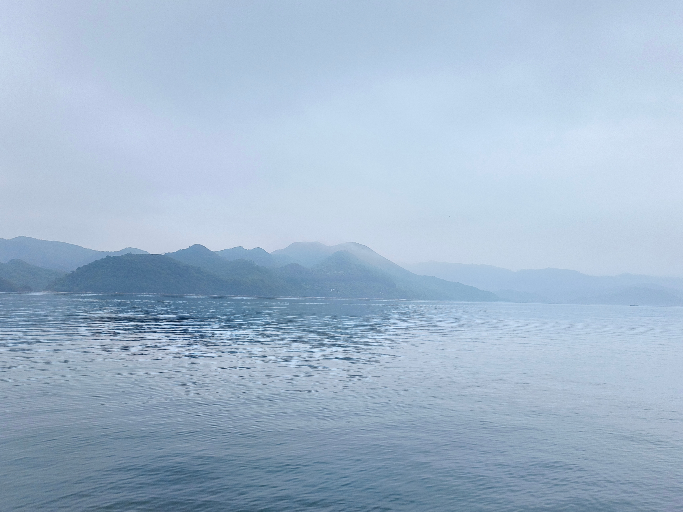 观海、看树、见日落