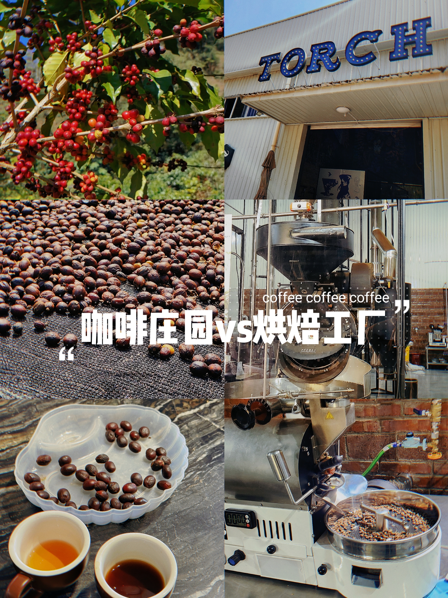 🚅🇨🇳🇱🇦day4普洱咖啡产业链VS.茶马古道