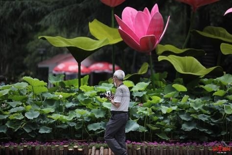 成都夏季赏花攻略