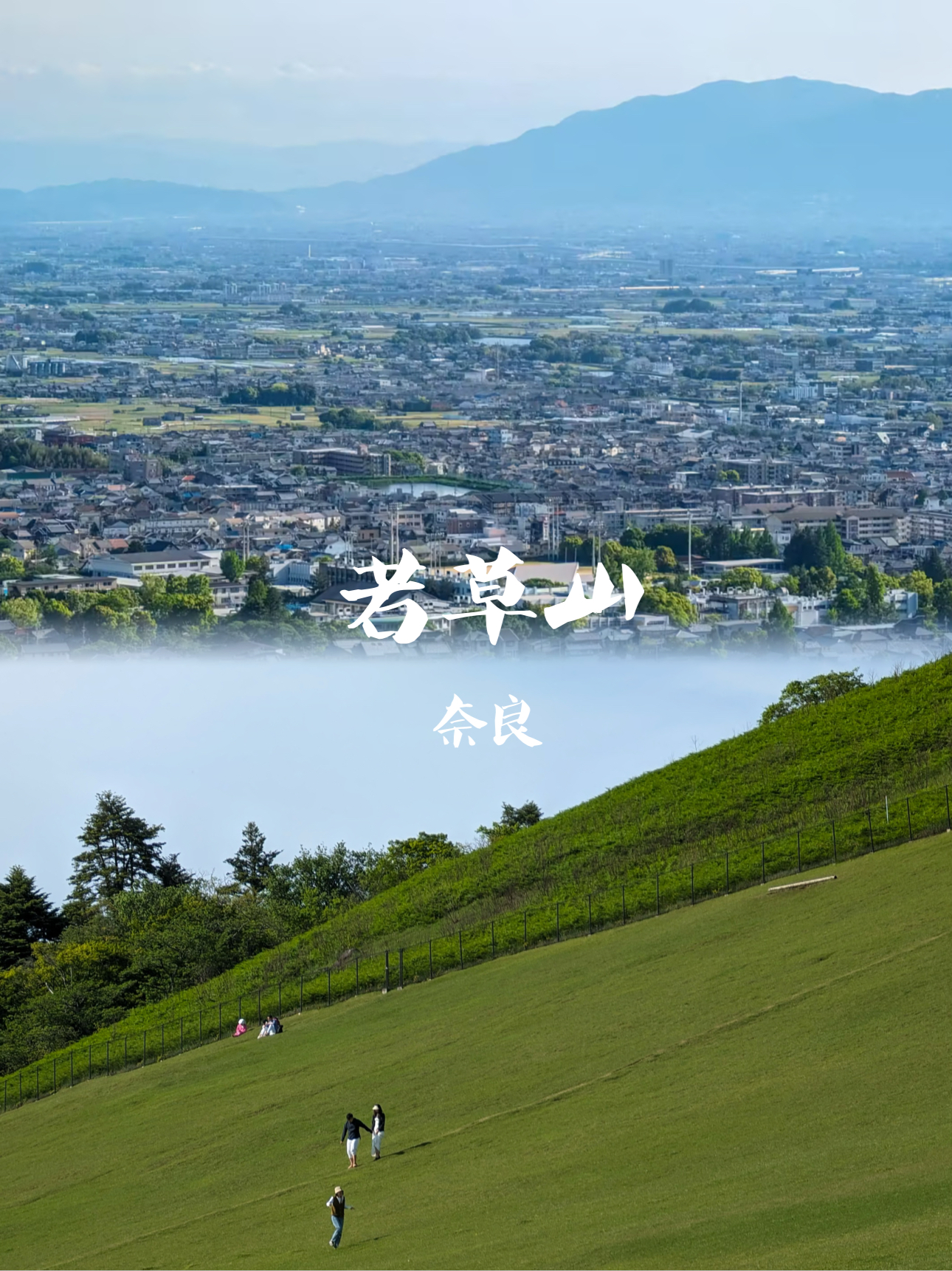 日本奈良📍原来若草山才是宫崎骏的夏天！
