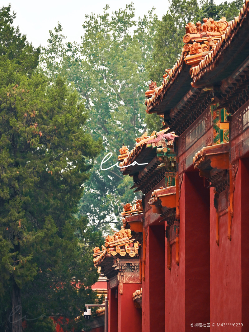 北京 太庙