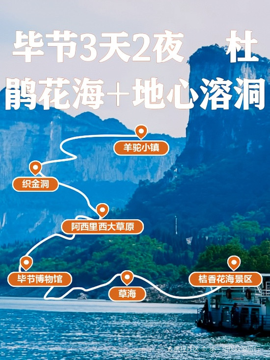 杜鹃花海