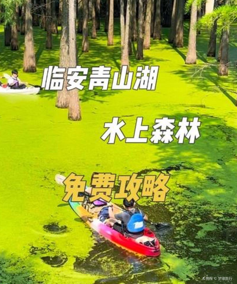 杭州临安青山湖科技城万丽酒店图片