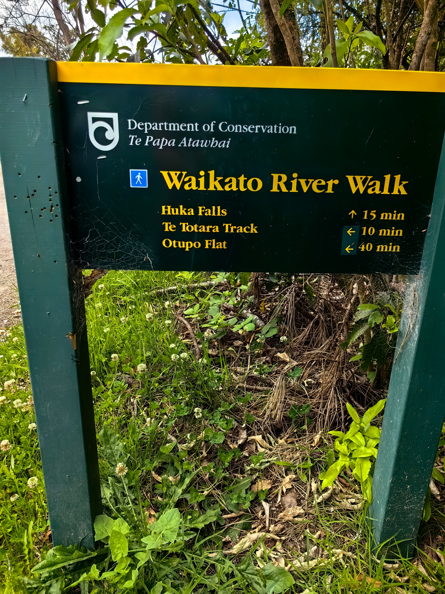 今天去Taupo（陶波）的胡卡瀑布，车停公路边，沿着Waikato River Walk走下山，有外