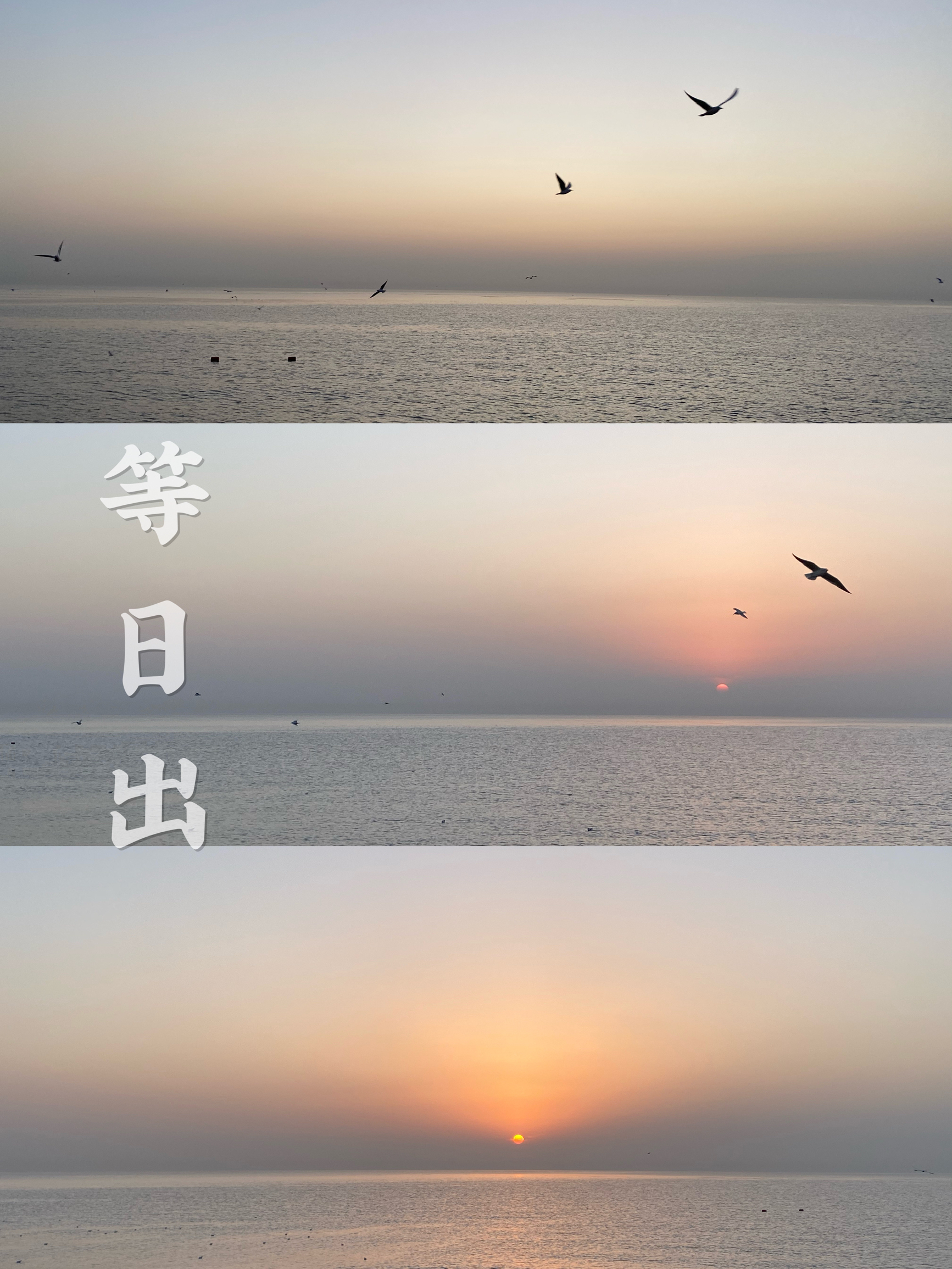 冬日看海🌊｜秦皇岛蔚蓝海岸线的日出日落