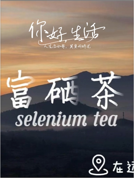 茶文化是中国文化的重要组成部分，它源远流长，历史悠久。茶文化包括茶的品种、制作工艺、饮用方式、茶道礼