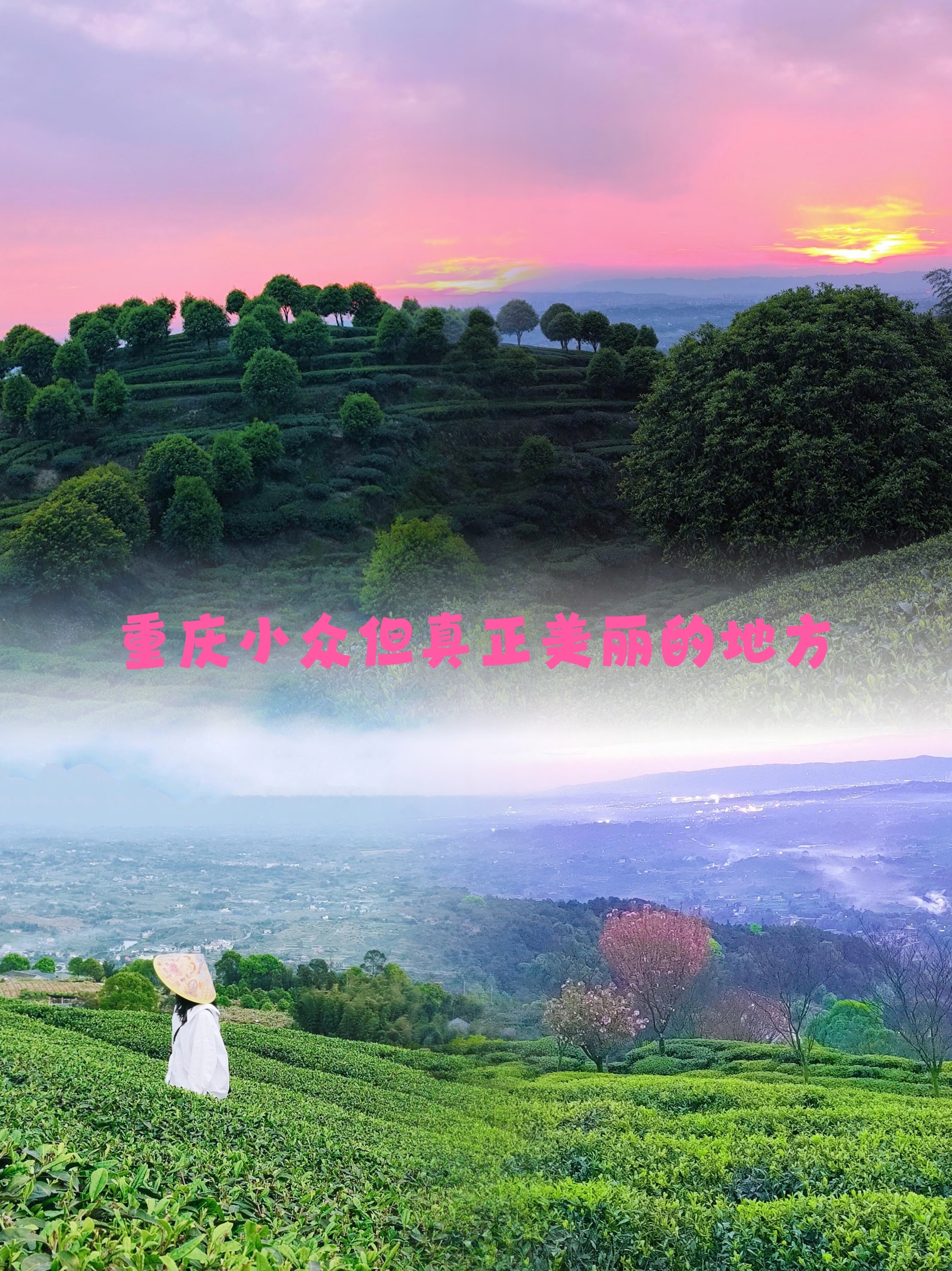 没想到在重庆能看到类似的场景 幸运的是，在茶山上遇到了超级美丽的日落️️ 这里的茶山与茶山相连，几座