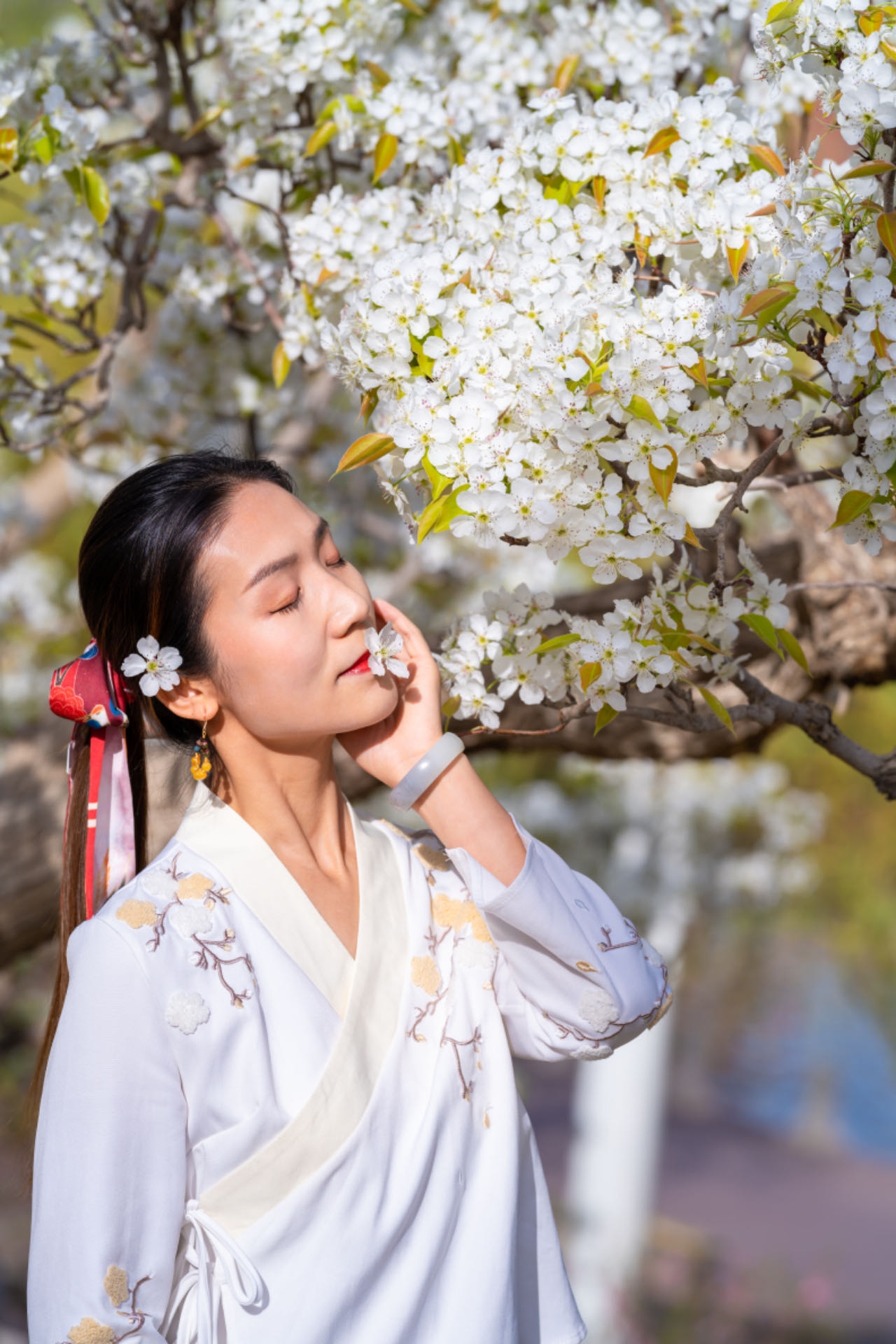 不止杏花，我们的库尔勒梨花满城香!  库尔勒的梨花已经拍了很多年，每年4月就是专属梨城的梨花季。 *