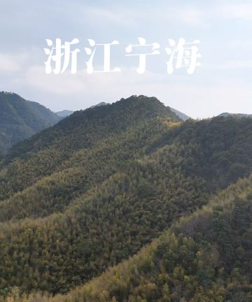 宁波宁海安岚图片