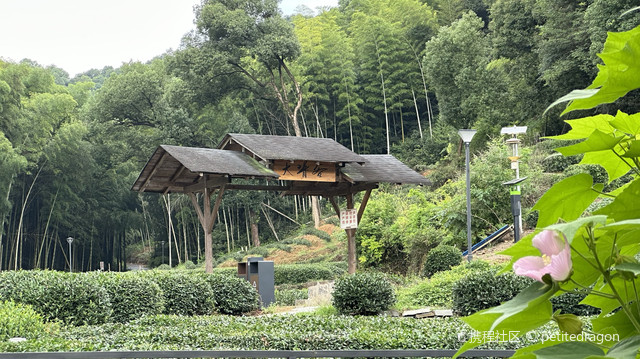 杭州杭州大清谷