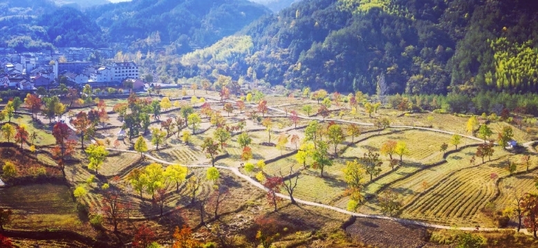 鱼味馆(九资河店)餐厅图片