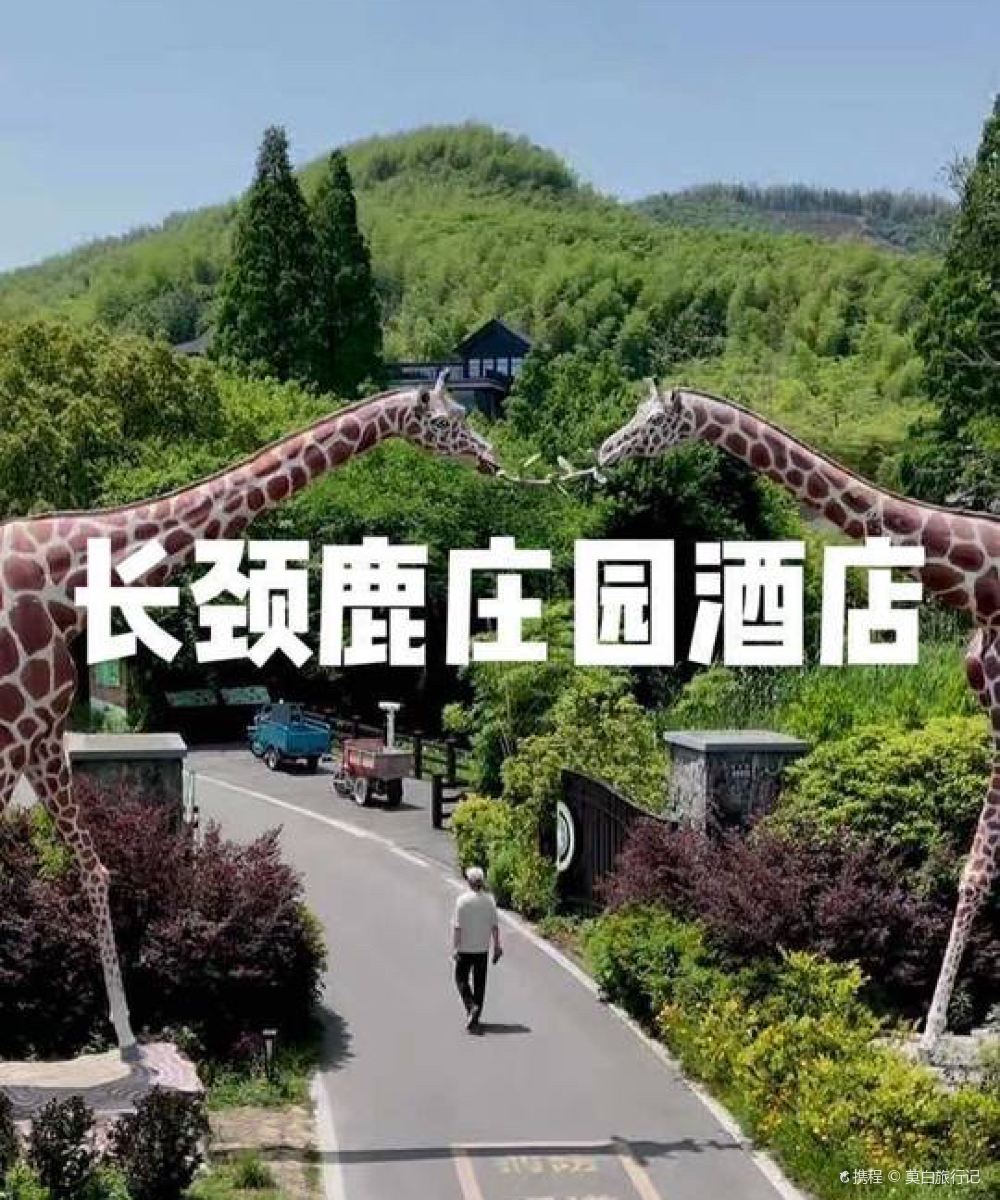 湖州长颈鹿庄园酒店图片