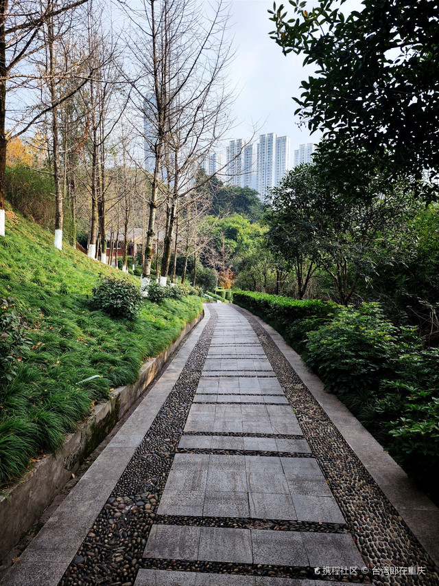 渝北区市中心的一点宁静,盘溪河公园