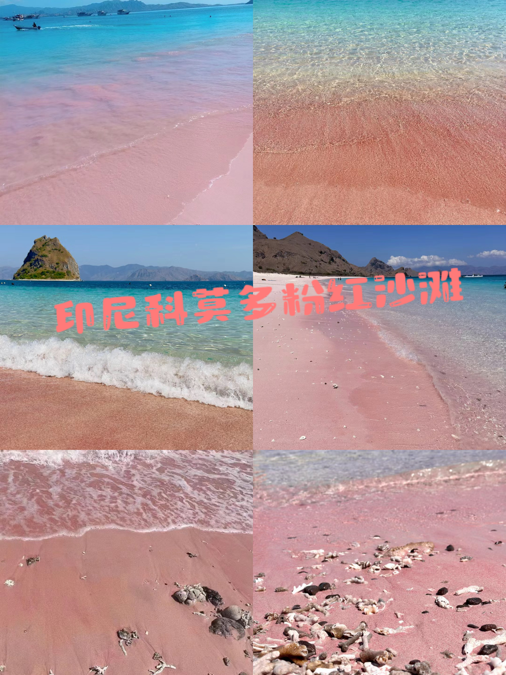 印尼科莫多粉色沙滩🏖️