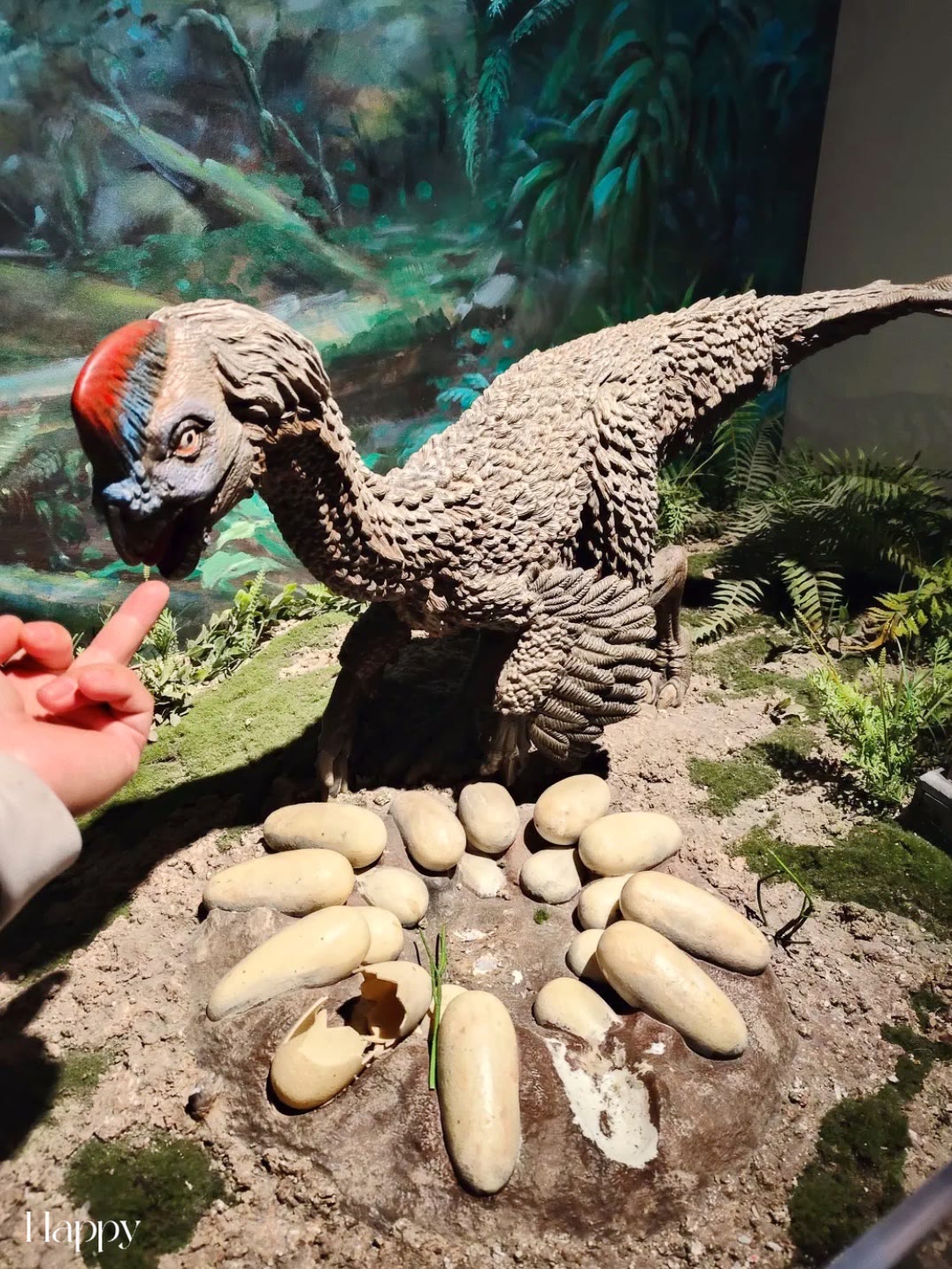 探索远古的奥秘，自贡恐龙博物馆一日游。