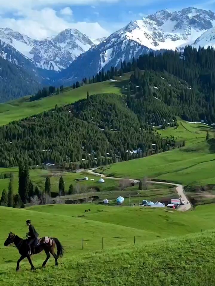 雪山🏔️草原