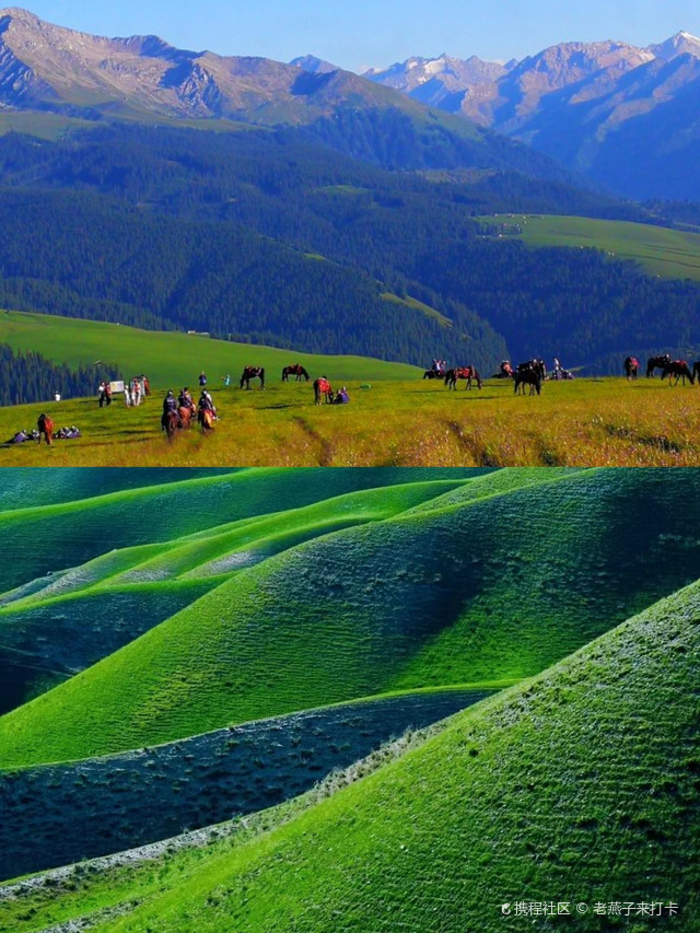 喀拉峻草原位于新疆伊犁哈萨克自治州特克斯县境内.