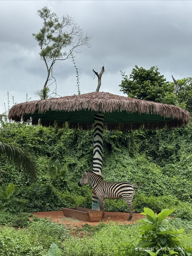 海南热带野生动植物园