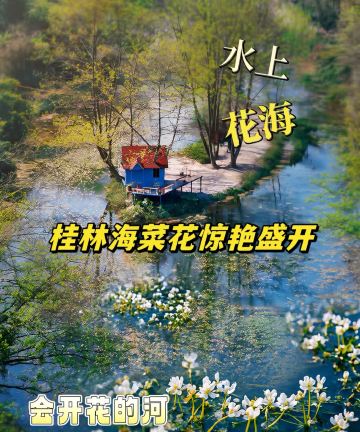 桂林喜来登饭店(象鼻山两江四湖店)图片