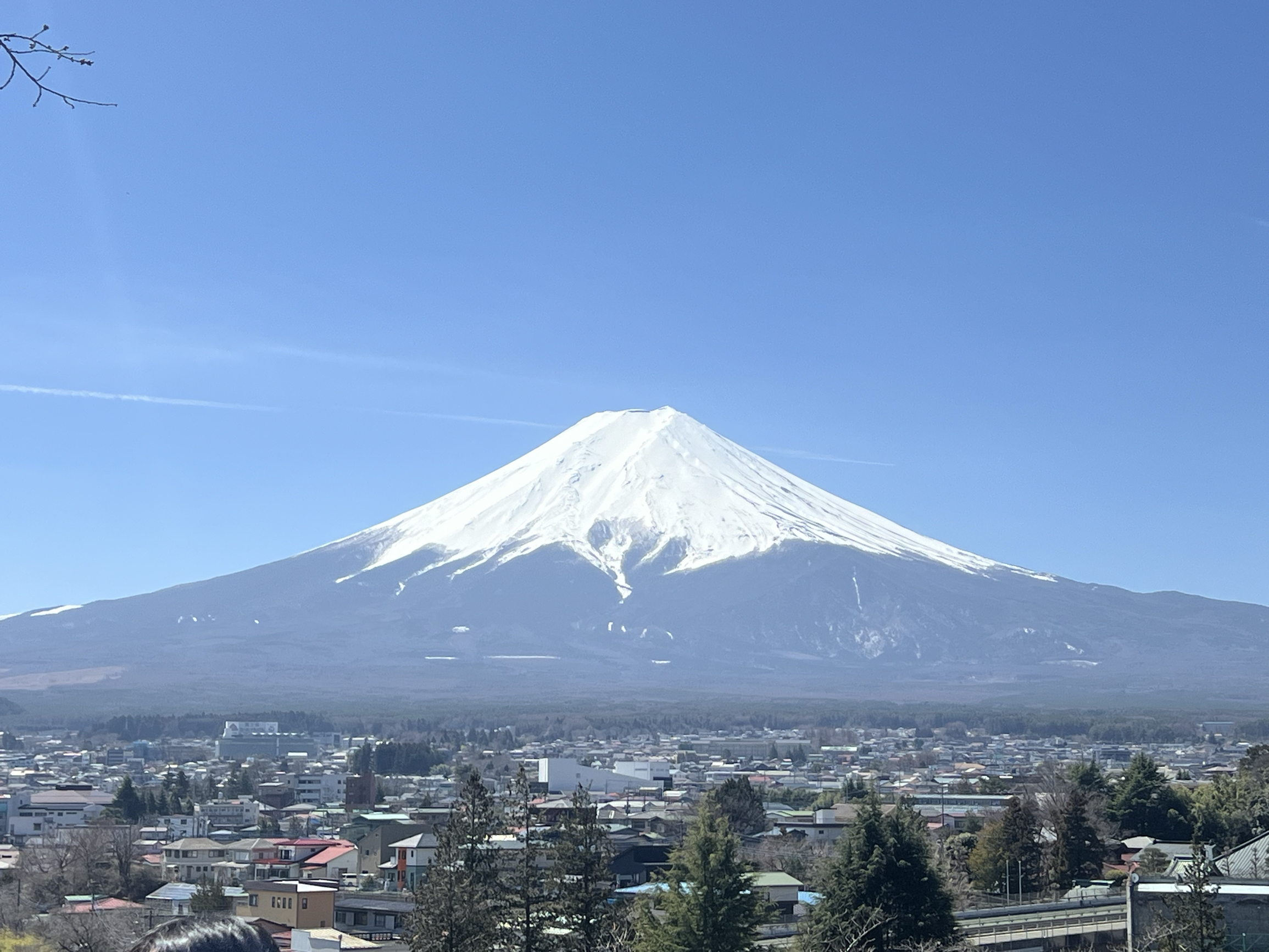 东京都富士山春季赏樱之旅