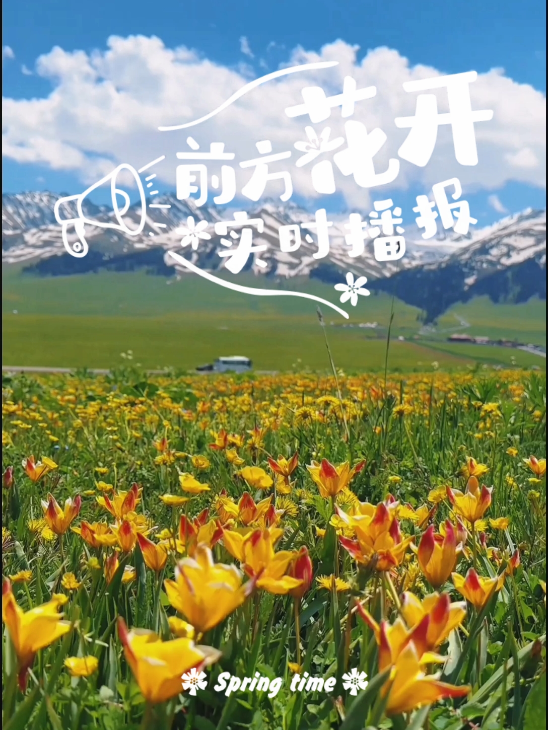 当遍地五颜六色野花盛开的时候，伊犁河谷美出了天际！#来新疆那拉提看花海吧 #旅行大玩家 #新疆旅游 
