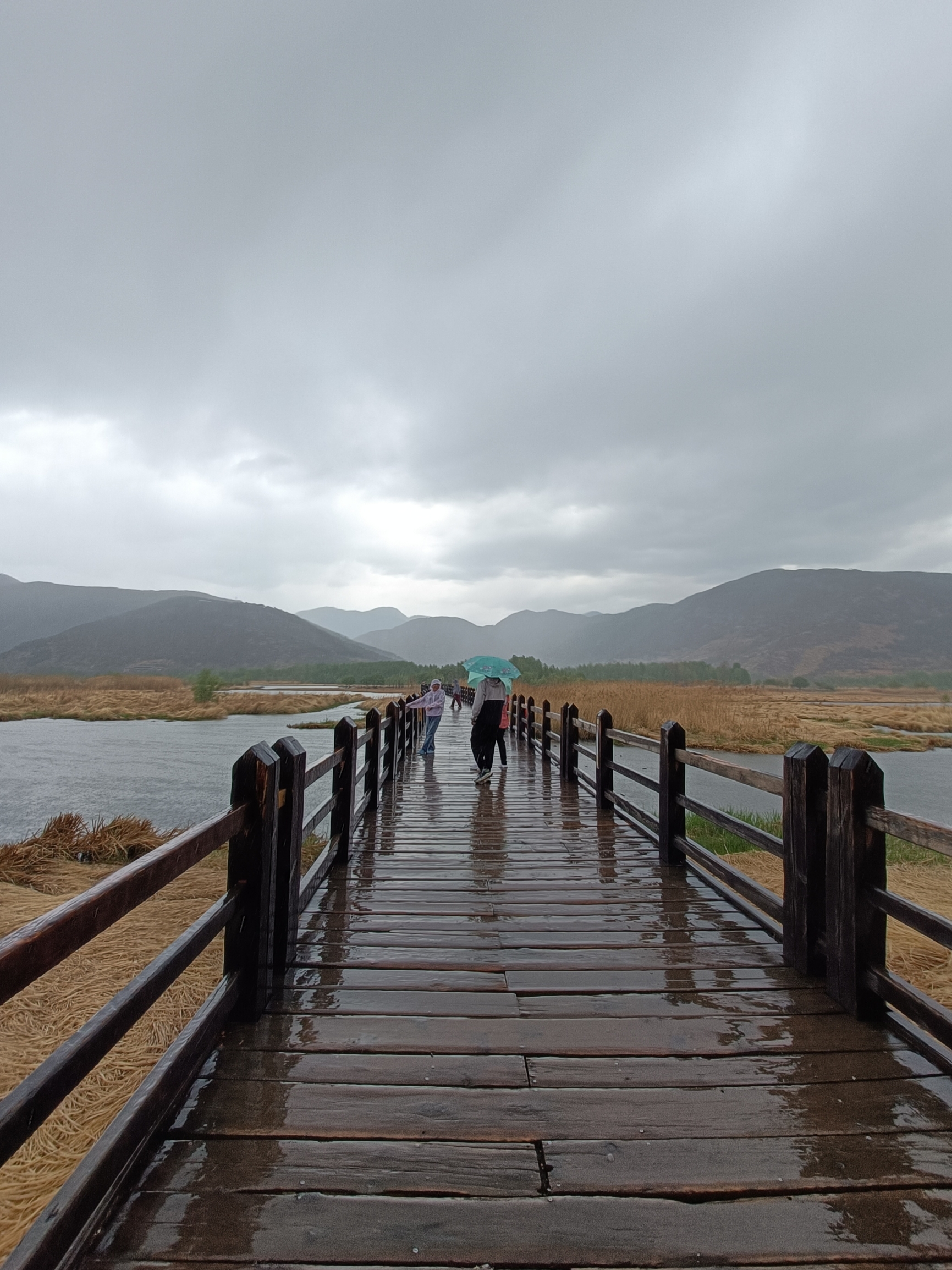 走婚桥，位于四川省凉山州盐源县境内，坐落在泸沽湖东南水域的草海区域。桥下由于长年泥沙淤积，导致水深变