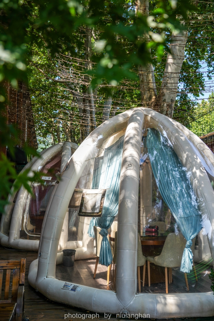 拾年(六〇三文创园店)