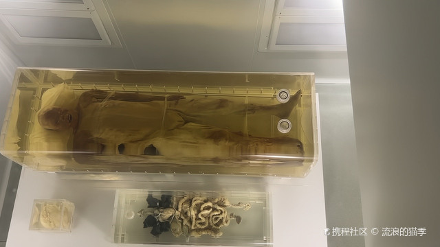 2140岁古尸,荆州博物馆镇馆之宝五大夫遂先生