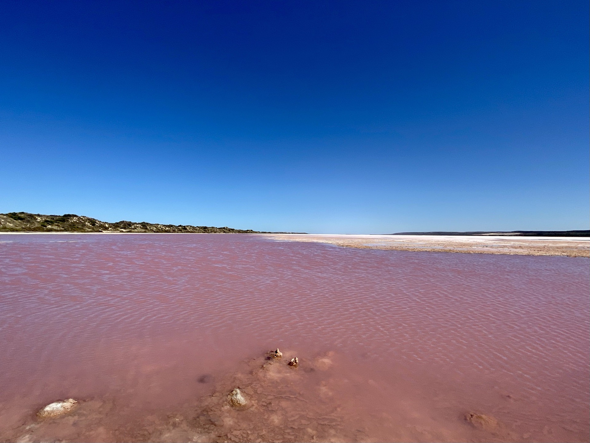 赫特泻湖Hutt lagoon