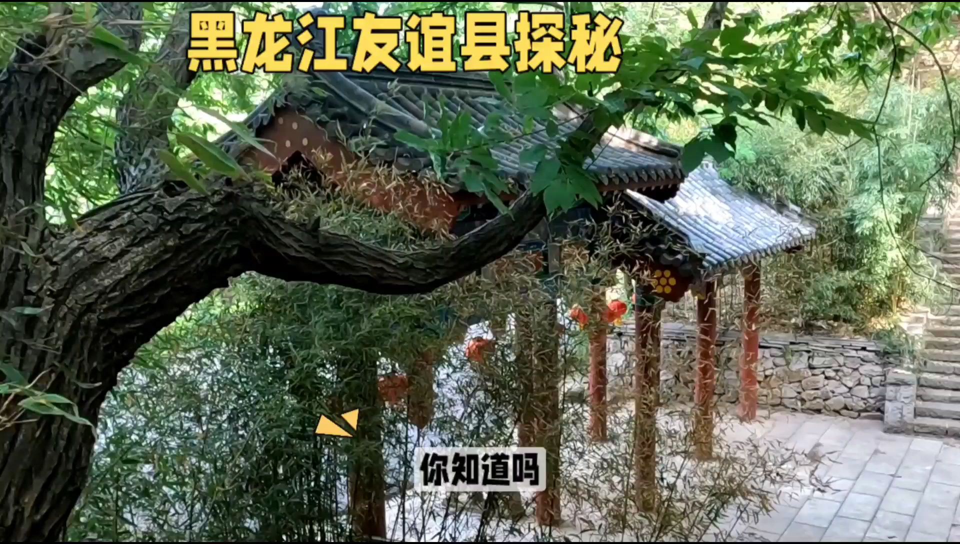 黑龙江友谊县探秘