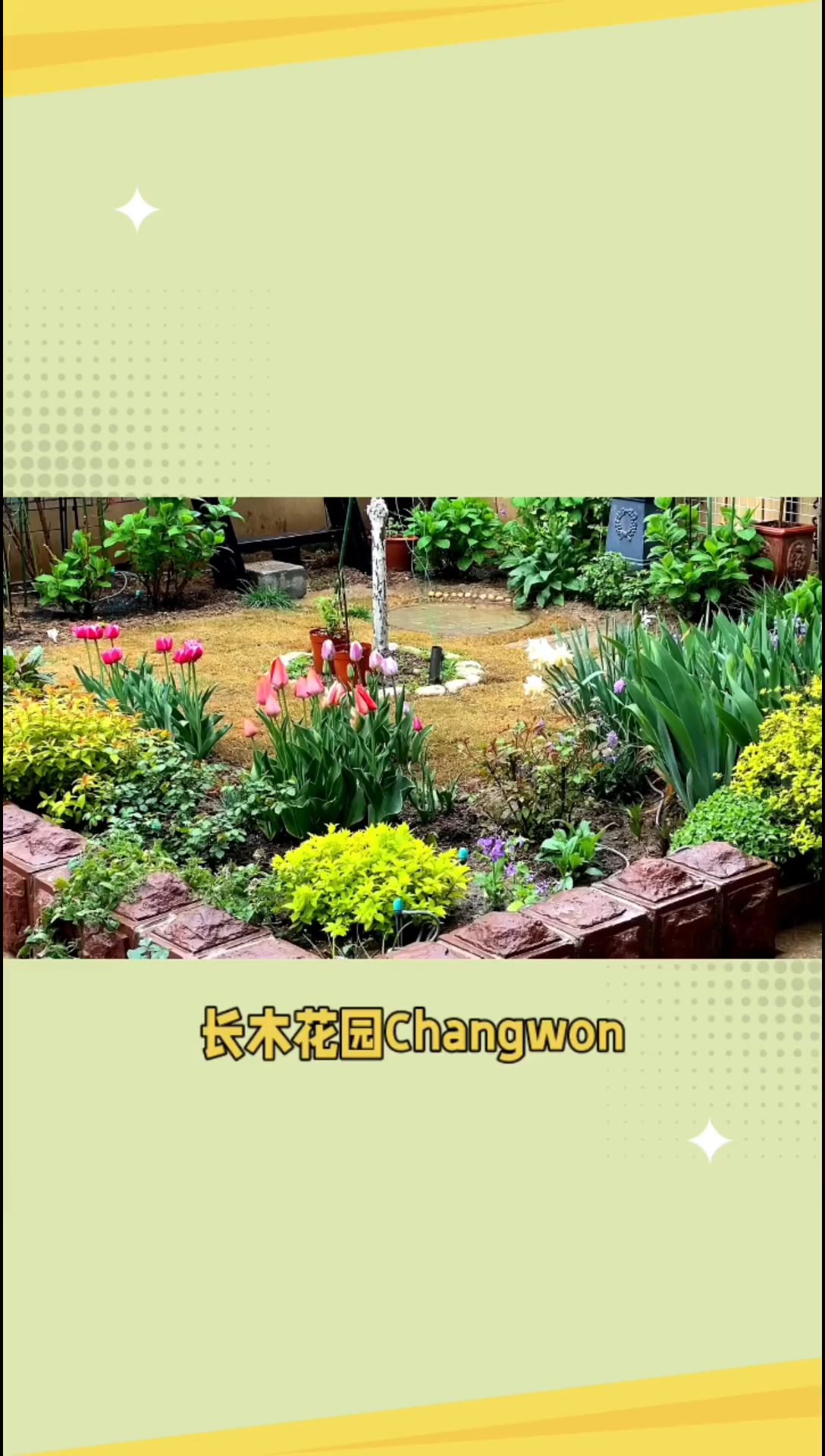 长木花园：水生花园仙境