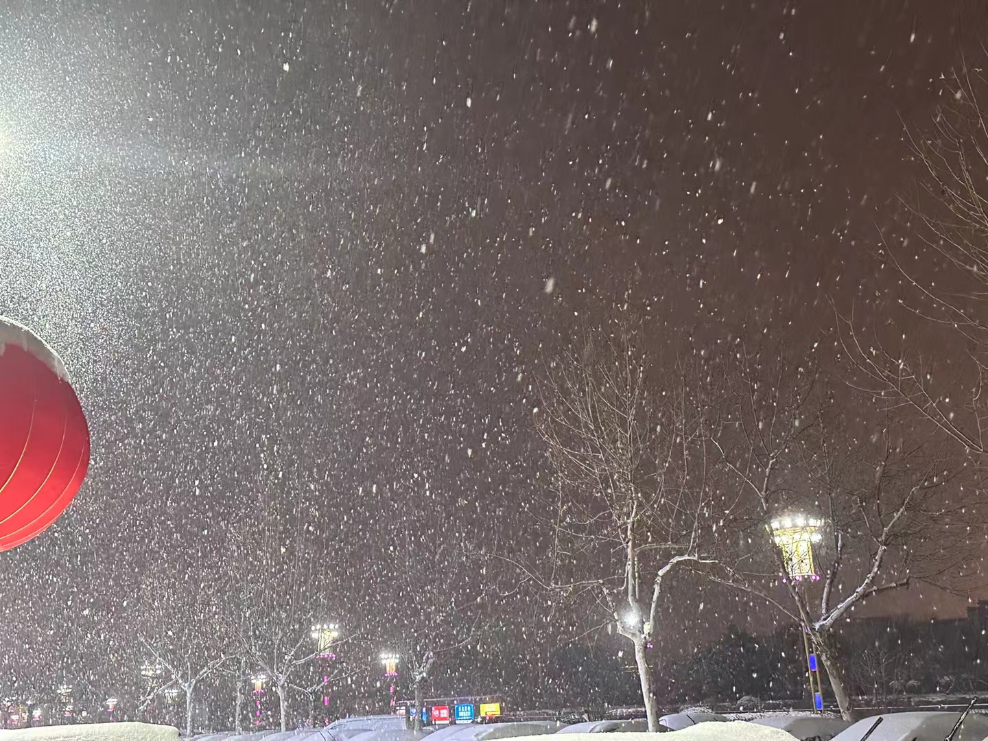 瑞雪兆丰年'留客足鸡豚