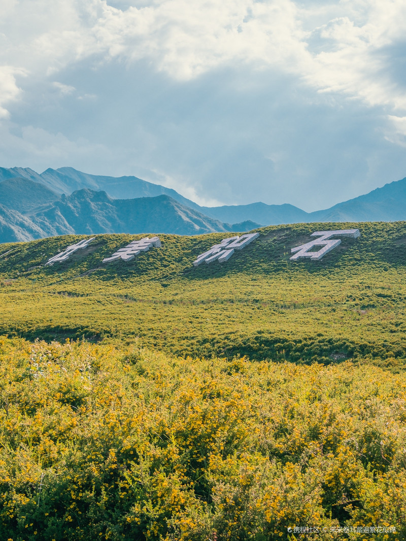 黄草坪自驾营地