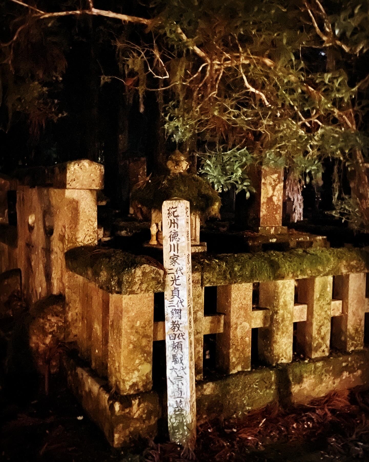 高野山奥之院的夜晚🌙日本战国名人墓所
