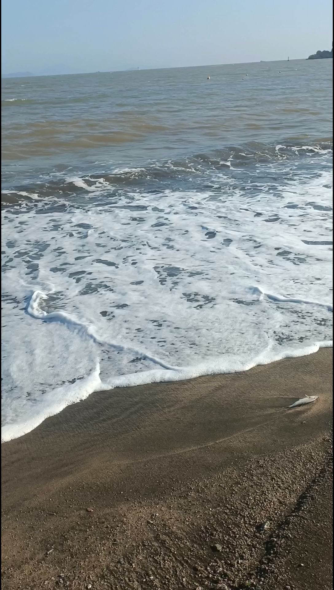 澳门黑沙滩