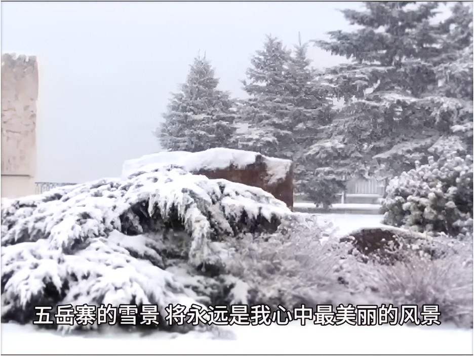 初雪之后，踏雪寻梅 —— 五岳寨的纯净之美