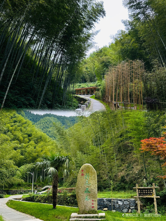 木坑竹海旅游攻略