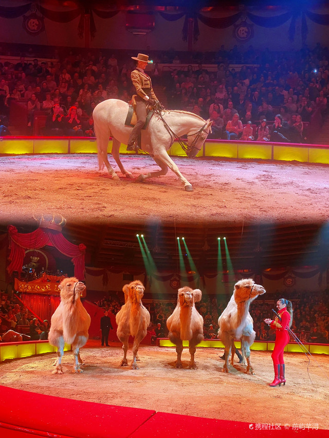 走进科龙马戏团:体验欧洲顶级马戏表演的魅力