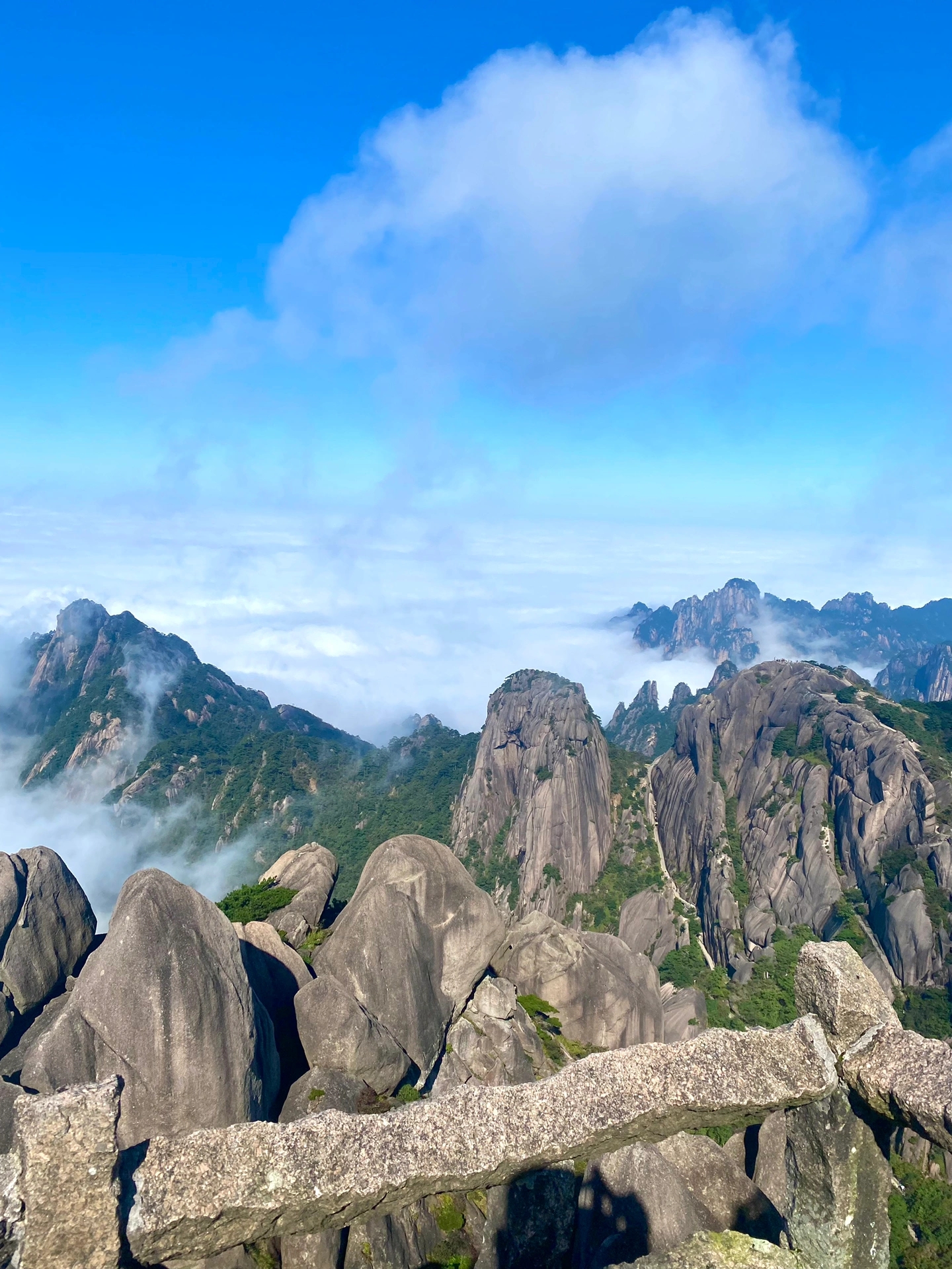 黄山是5A因为景区的上限只有5A，真的太美啦！