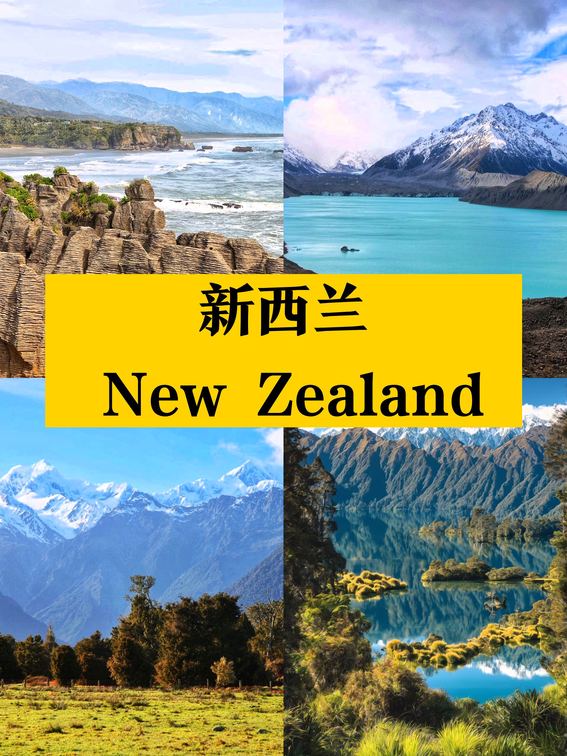 新西兰之旅|跟我一起Citywalk👣